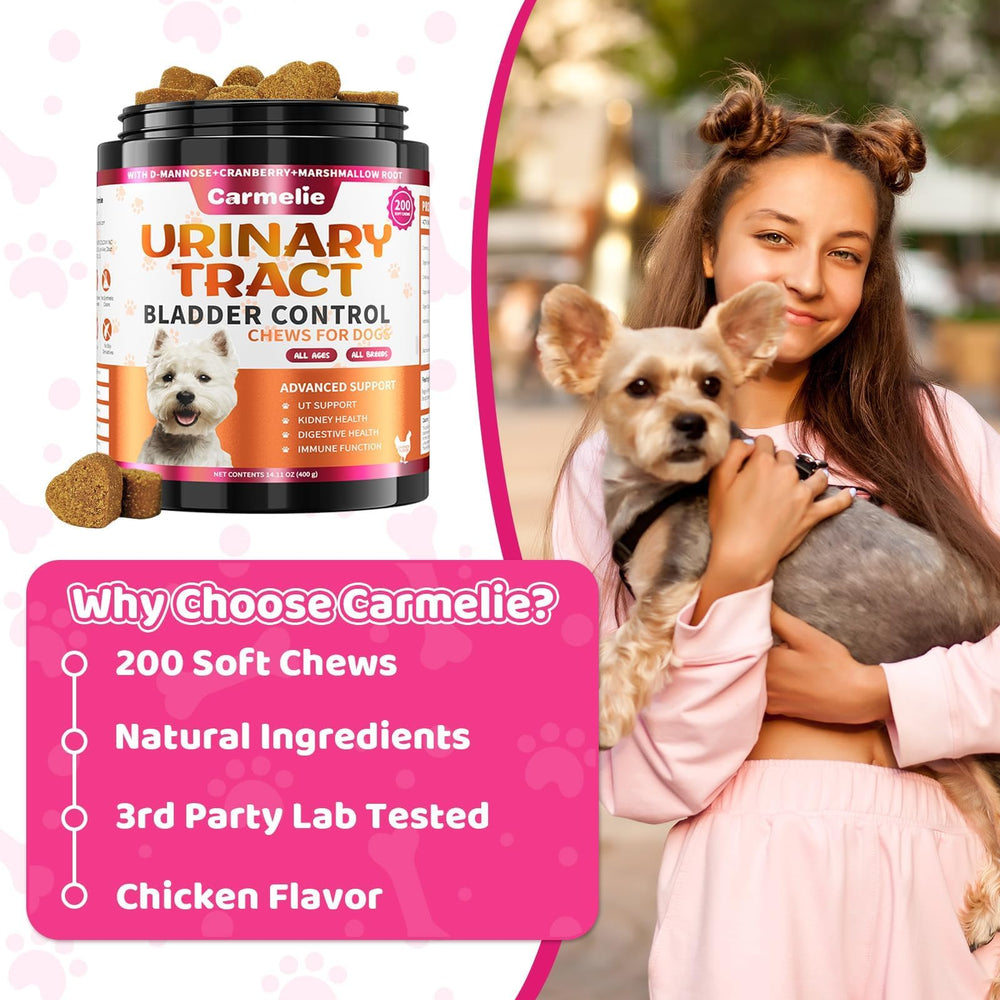 Carmelie digestive health dog chews offering gentle support.