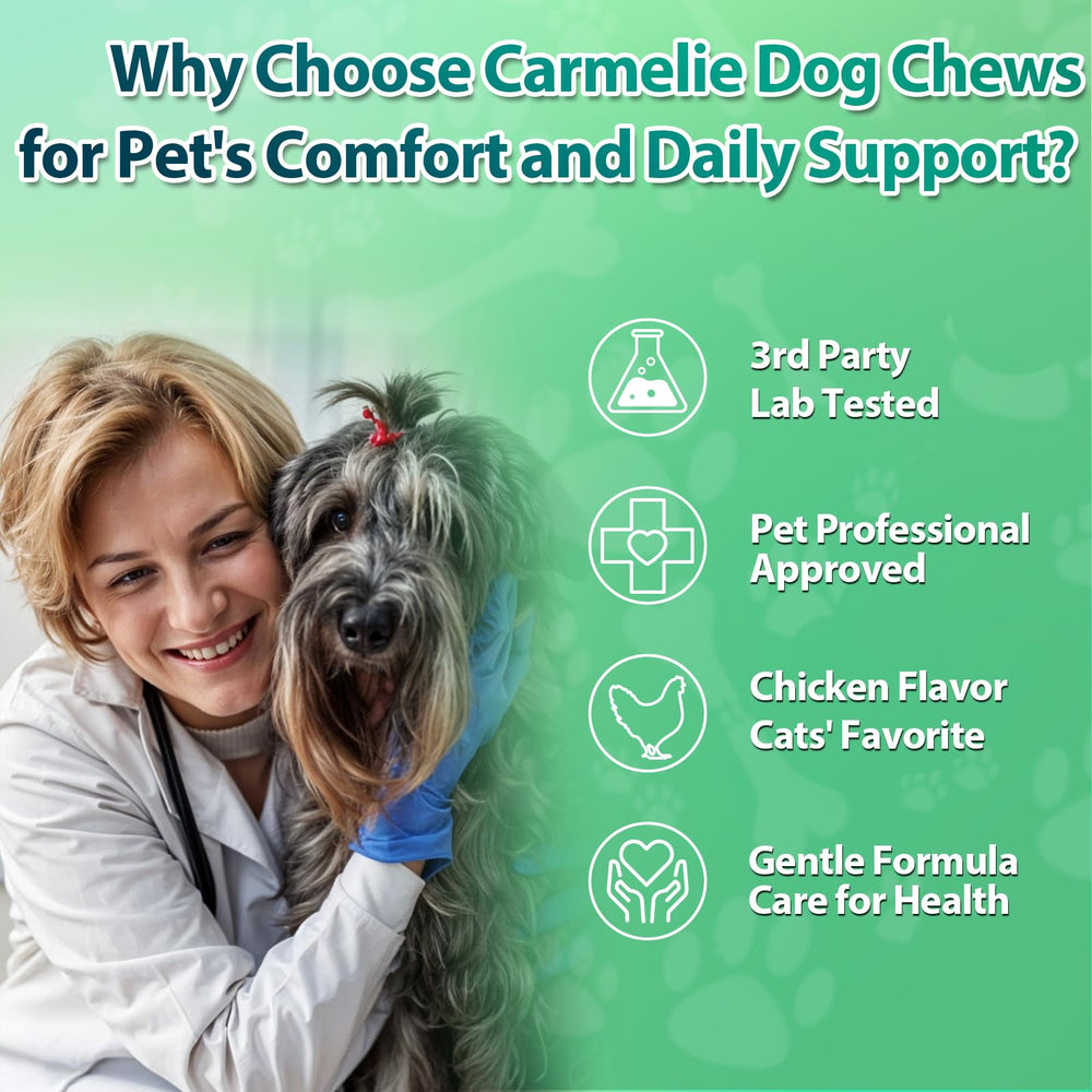 Carmelie bowl of chews ready for daily use with dogs