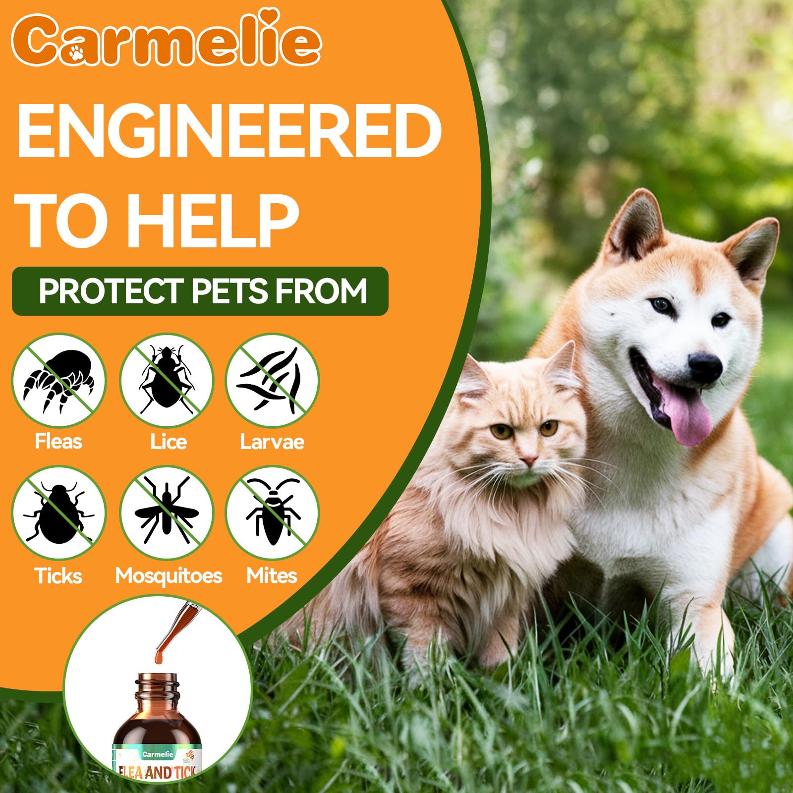 Carmelie drops added to water bowl for easy administration.