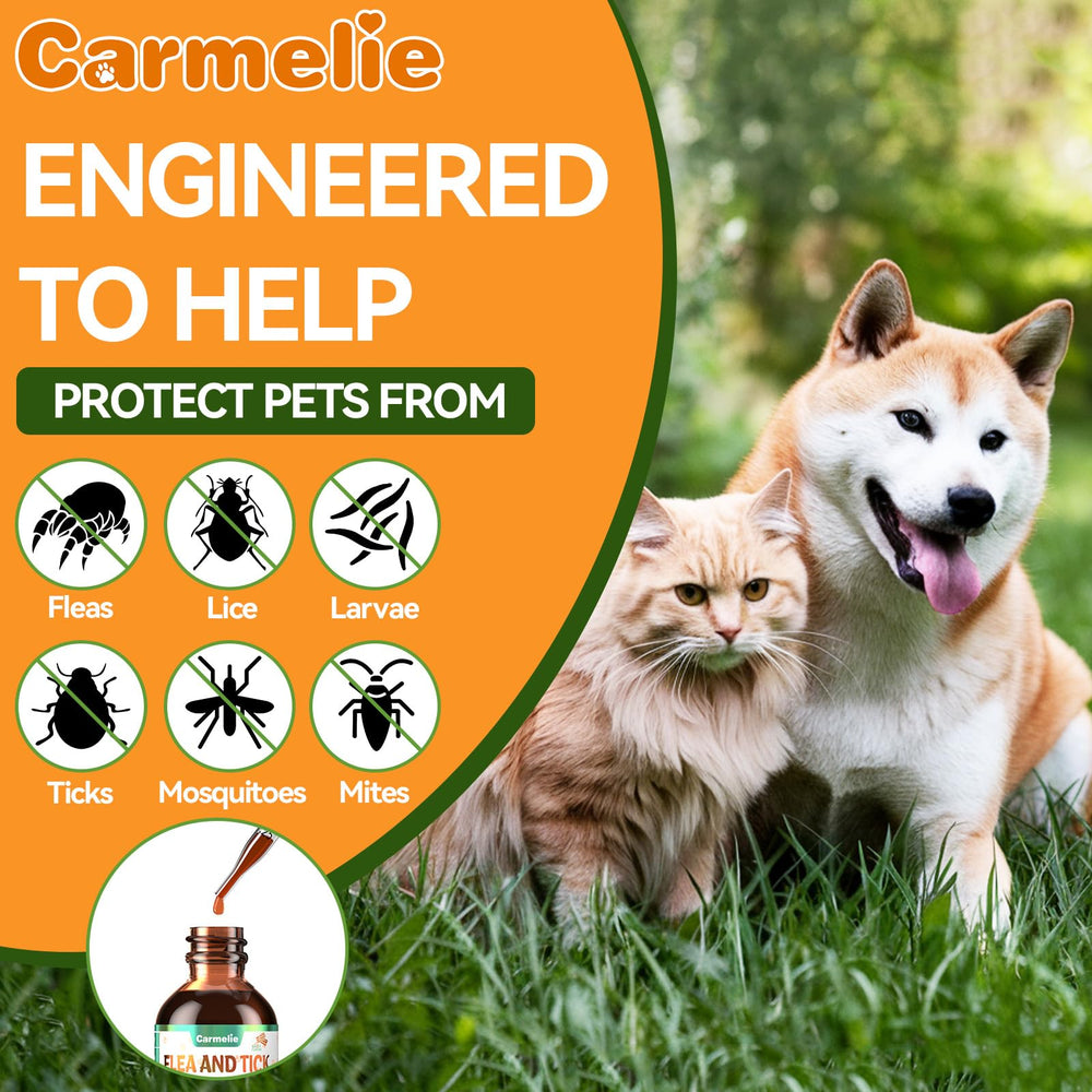 Carmelie drops added to water bowl for easy administration.