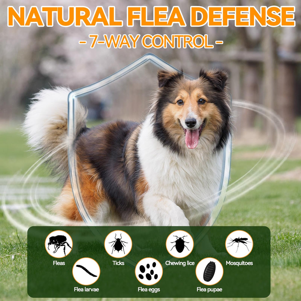 Carmelie flea-tick chews 200-count pack for extended protection
