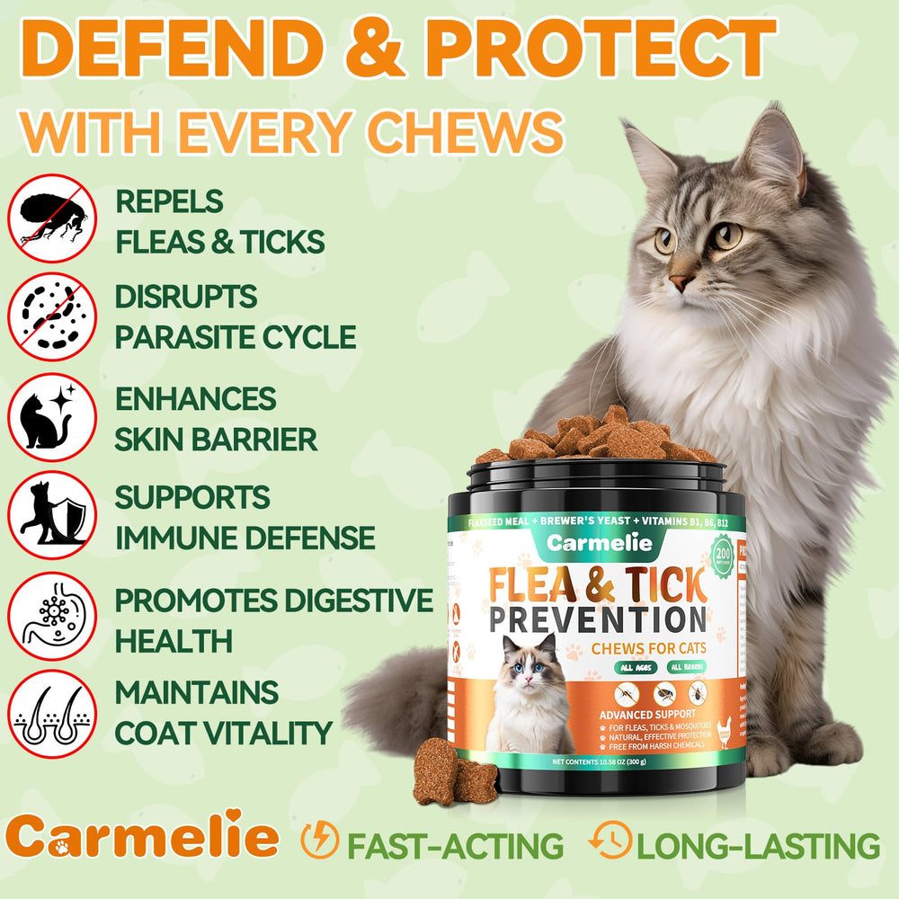 Carmelie cat chews close-up showcases chicken flavor loved by felines