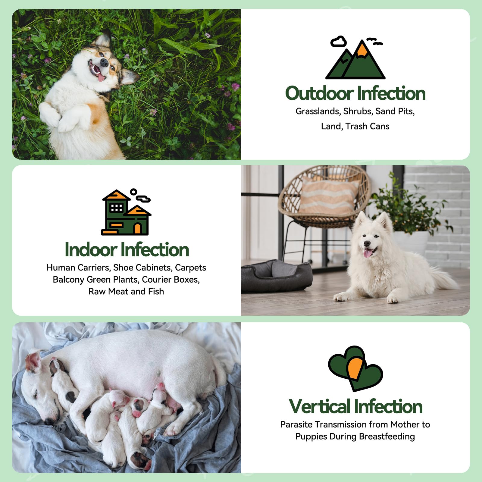 Carmelie flea-tick chews label branding signals trusted pet care