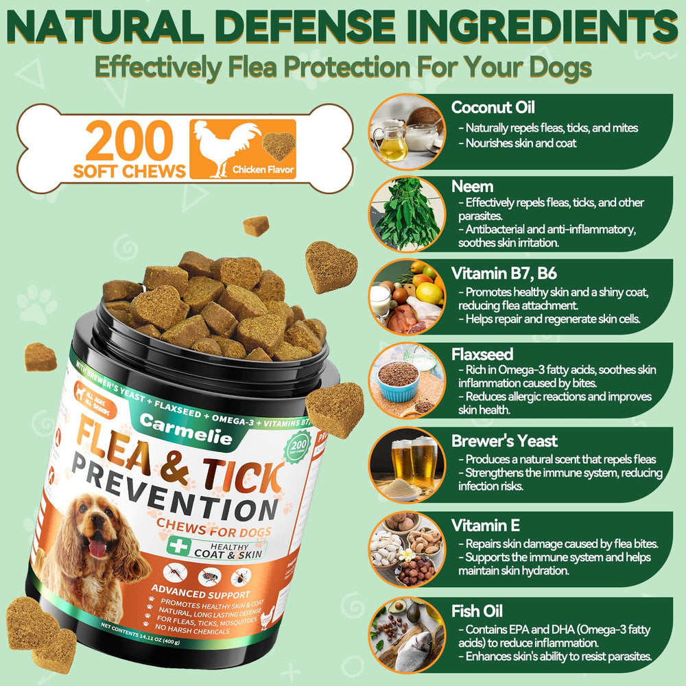 Carmelie flea-tick chews during outdoor adventures for continuous protection
