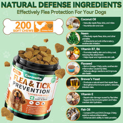 Carmelie flea-tick chews during outdoor adventures for continuous protection
