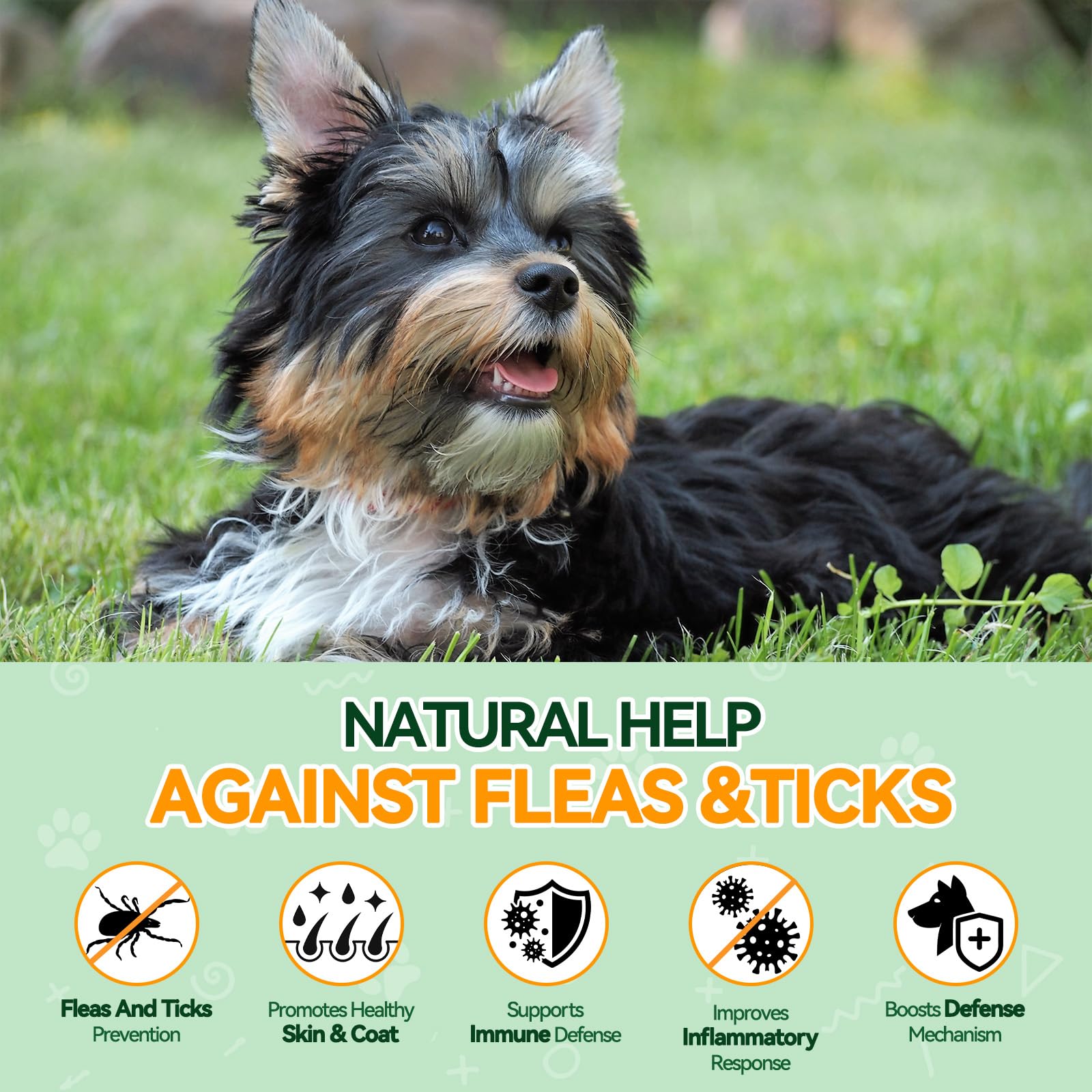 Carmelie flea-tick chews close-up showing soft texture and palatable taste
