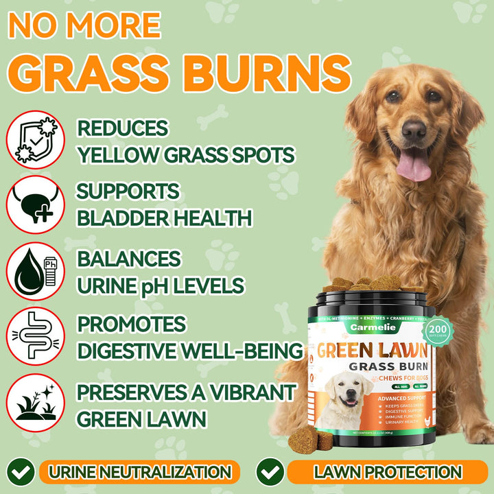 Carmelie Grass Burn Spot Chews on a lush lawn help promote greener grass.