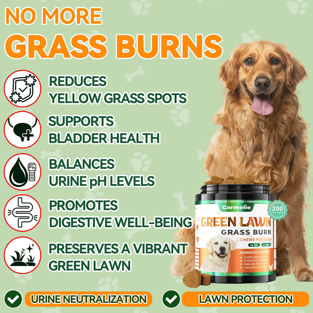 Carmelie Grass Burn Spot Chews on a lush lawn help promote greener grass.