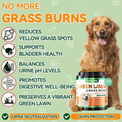Carmelie Grass Burn Spot Chews on a lush lawn help promote greener grass.