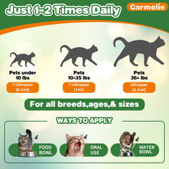 Carmelie cranberry ingredient highlight supports urinary health in cats