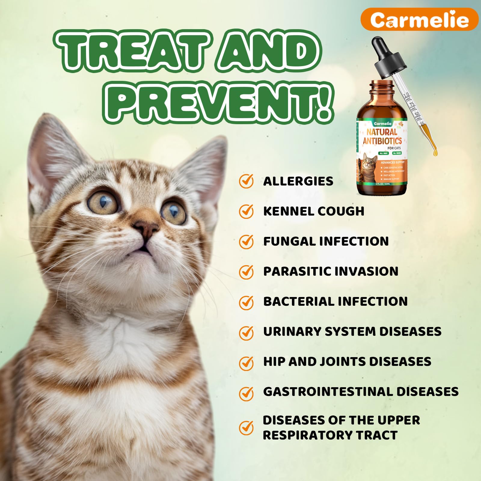 Carmelie natural antibiotic drops used at home with your cat