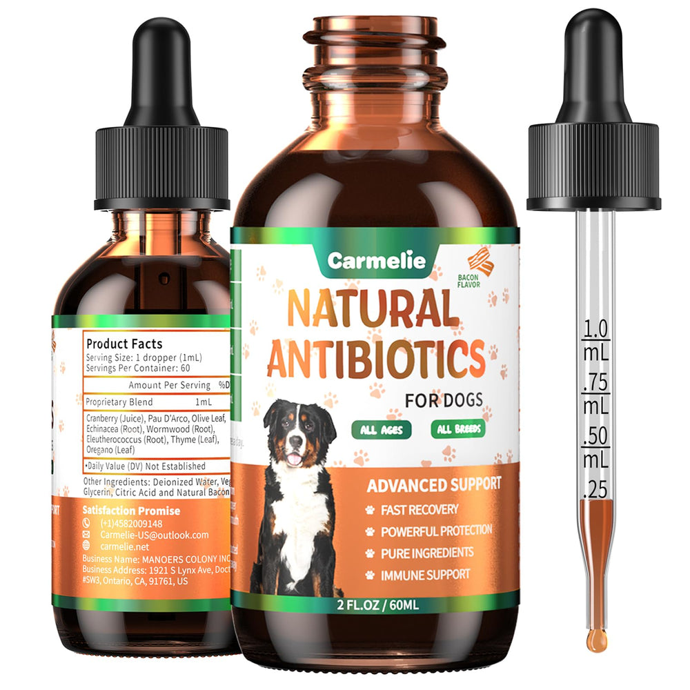 Carmelie natural dog antibiotics bottle showing packaging for skin support and vitality.