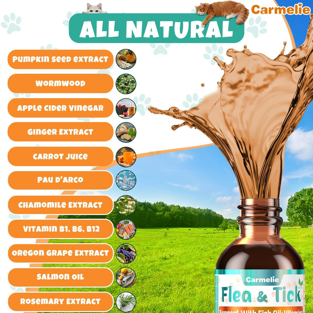 Carmelie natural ingredients infographic highlights carrot juice and pumpkin seed for gentle care.
