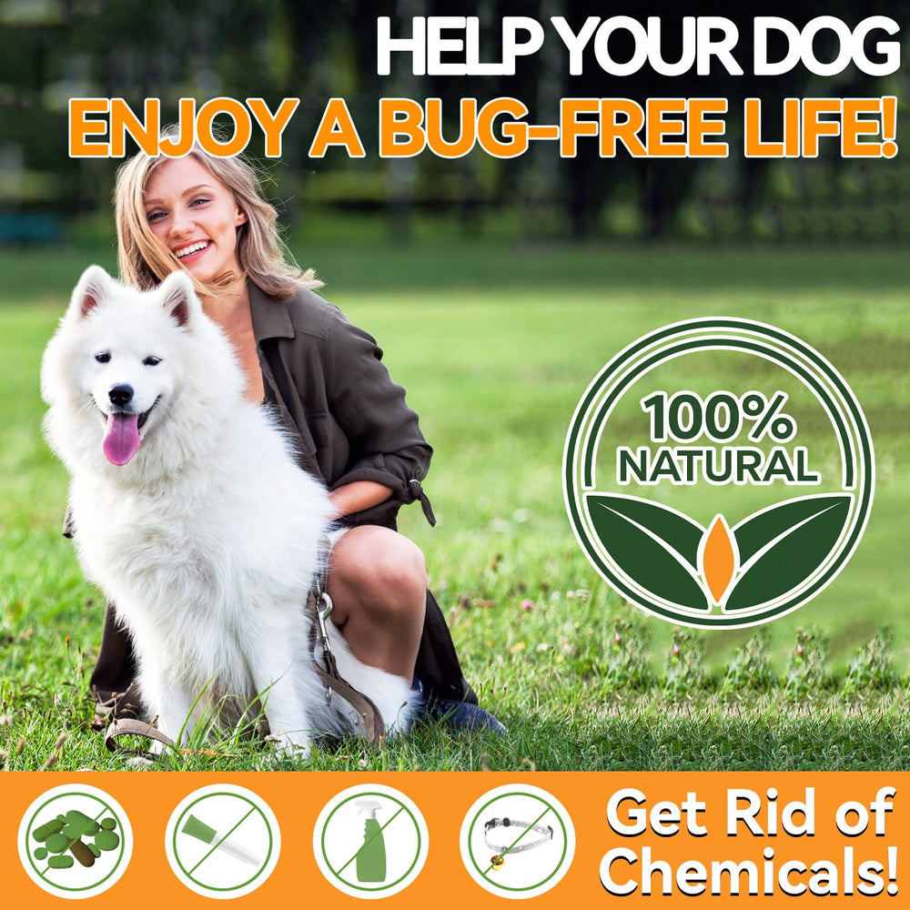 Carmelie skin and coat support chews with fish oil and brewer's yeast.