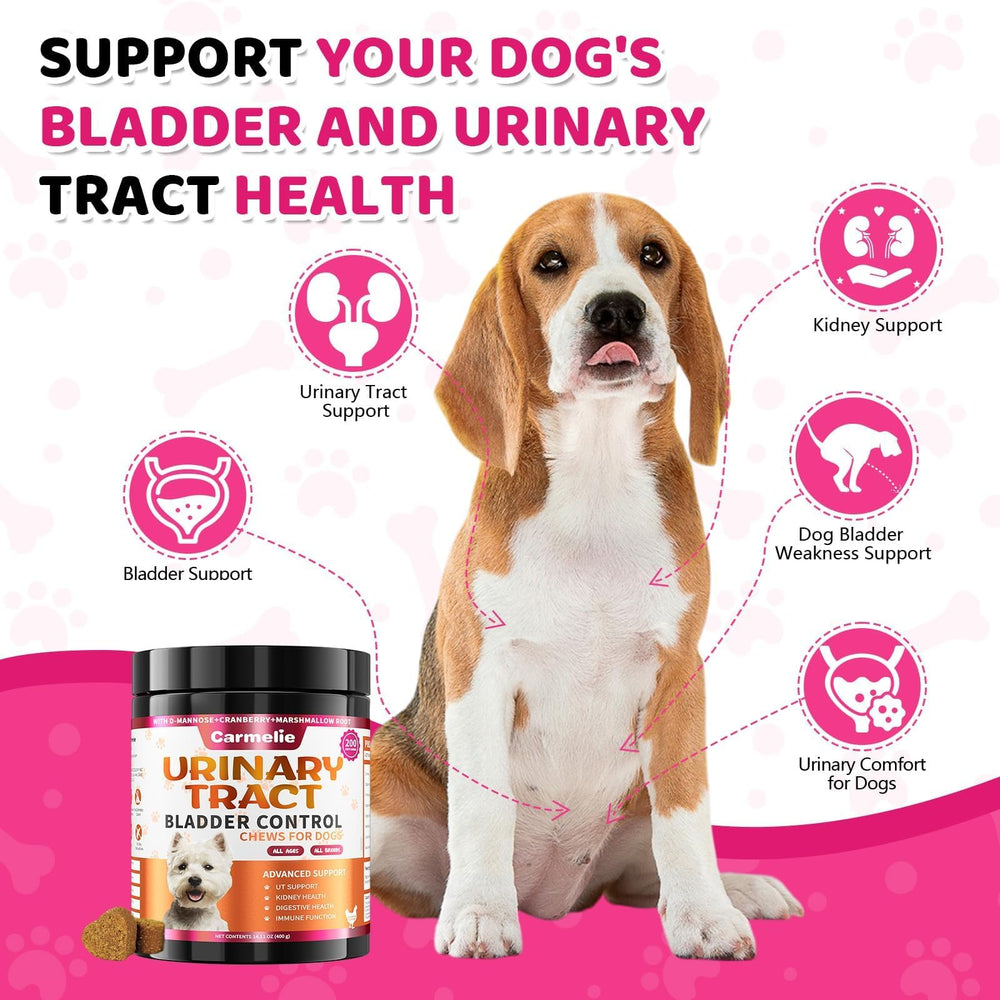 Carmelie organic astragalus root ingredient listed for natural wellness.