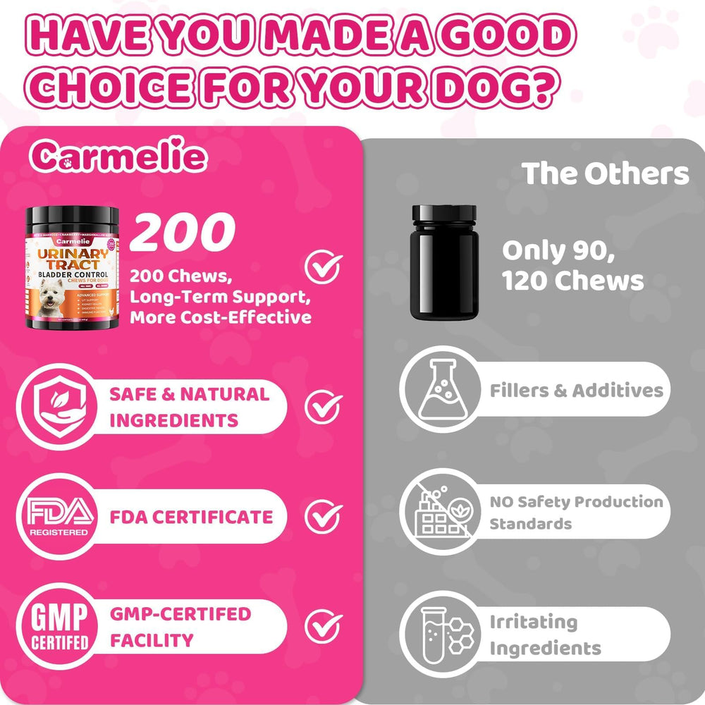 Carmelie organic echinacea root included for holistic dog health.