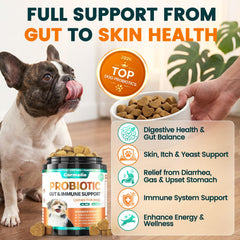 Closeup of Carmelie probiotics chews for tasty gut health.