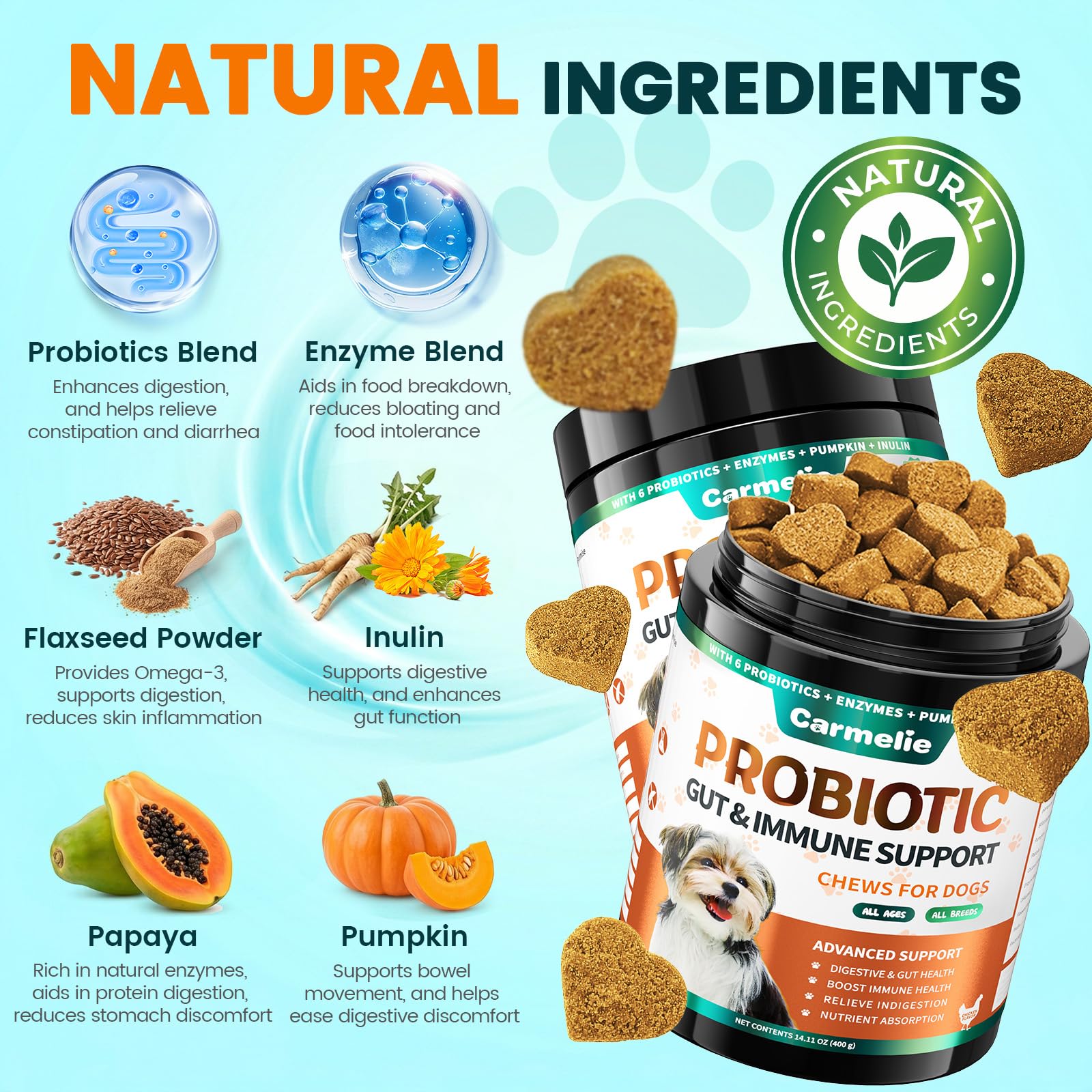 Visual of dog with shiny coat after using Carmelie probiotics.