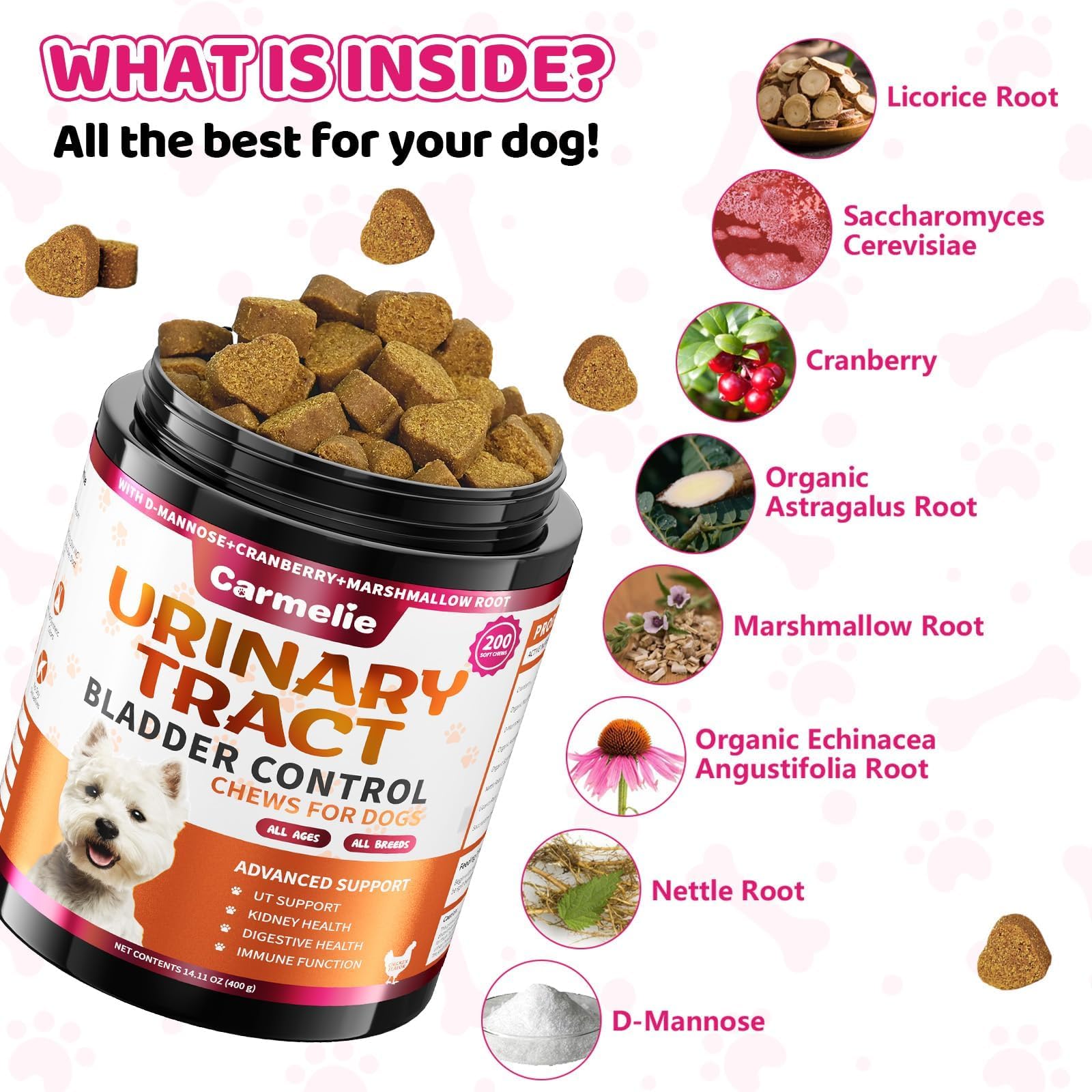 Carmelie probiotics provide immune and digestion support in dog treats.