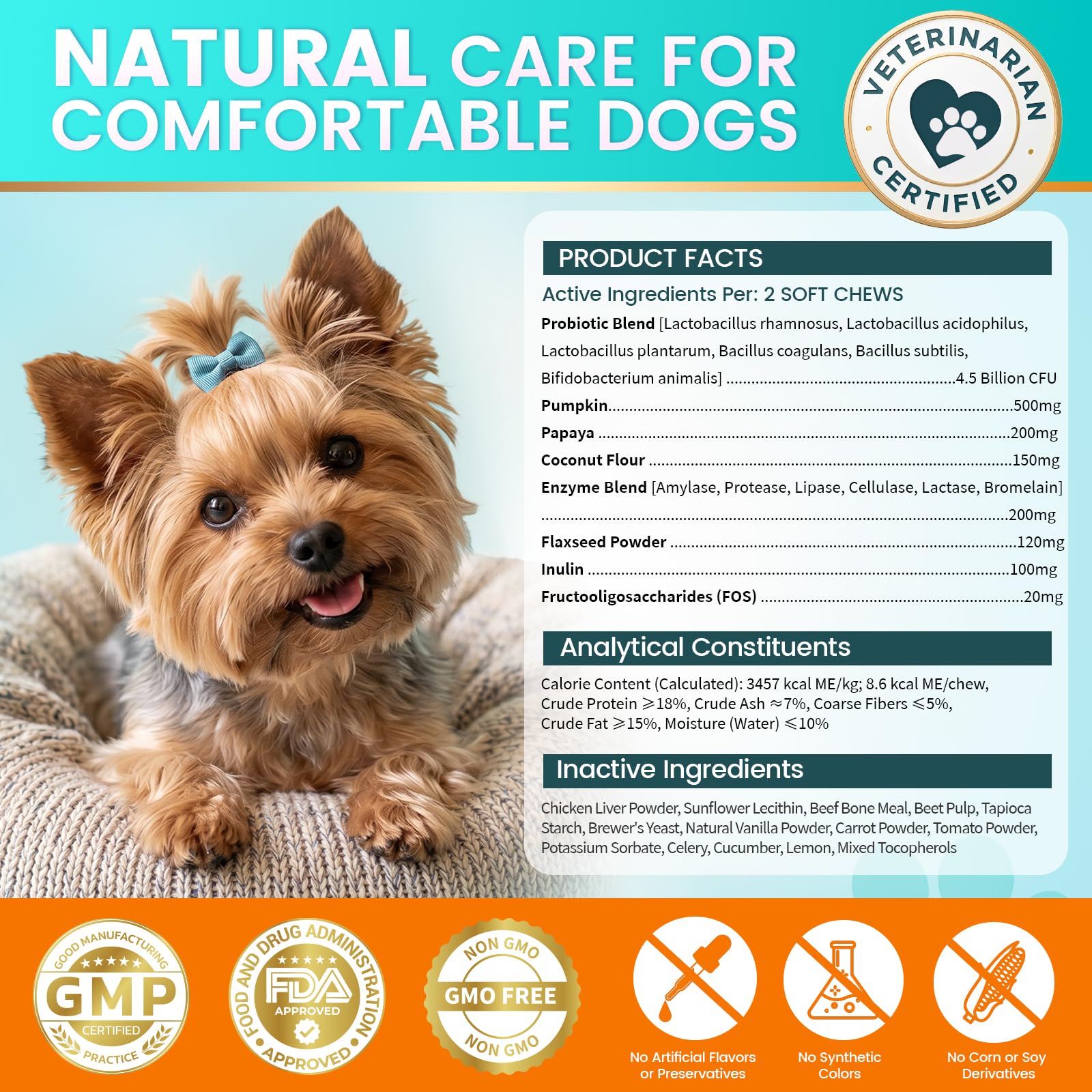 Carmelie immune support shown with happy, energetic dog.