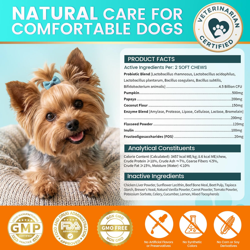 Carmelie immune support shown with happy, energetic dog.