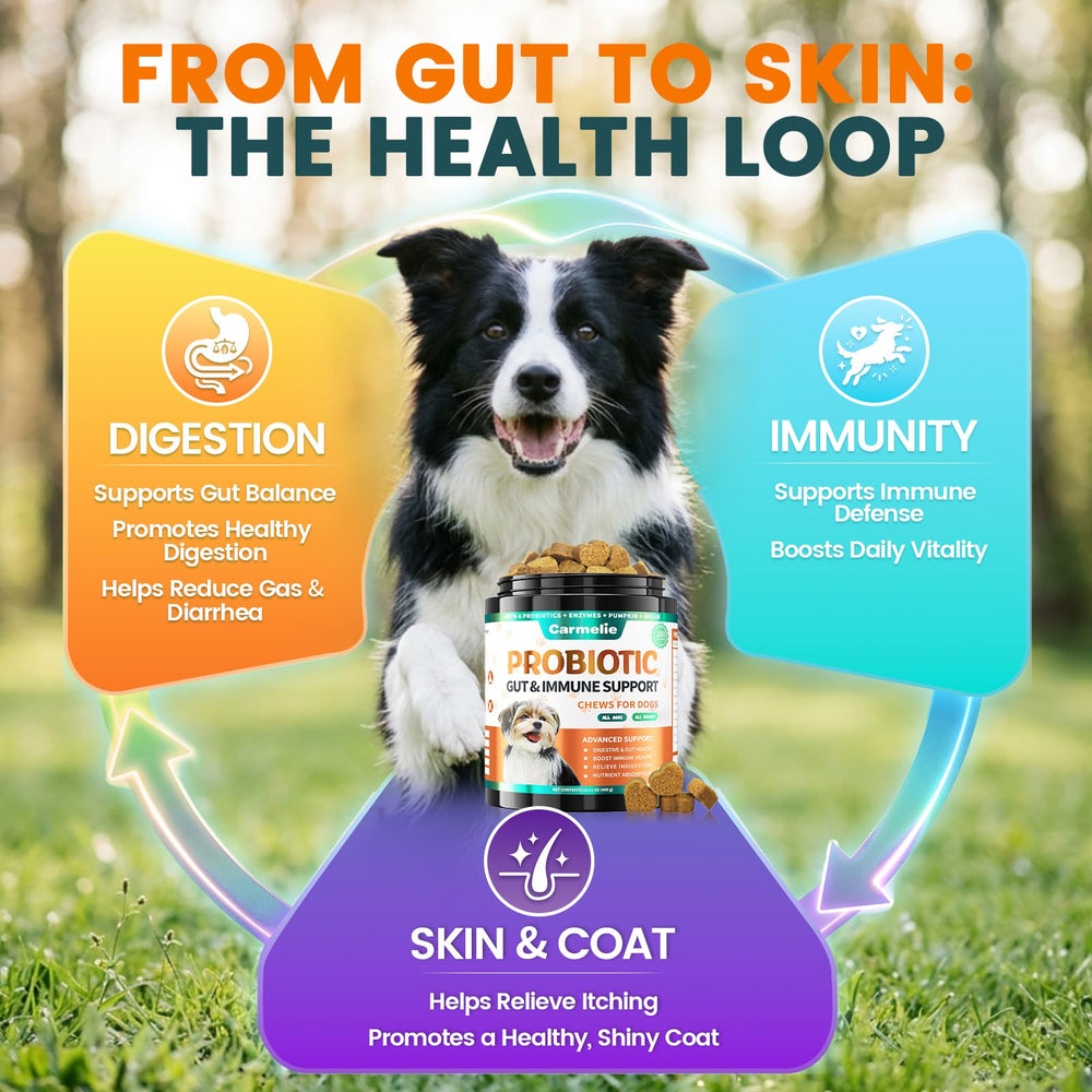 Carmelie probiotics chews targeting itchy ears for gentle relief.
