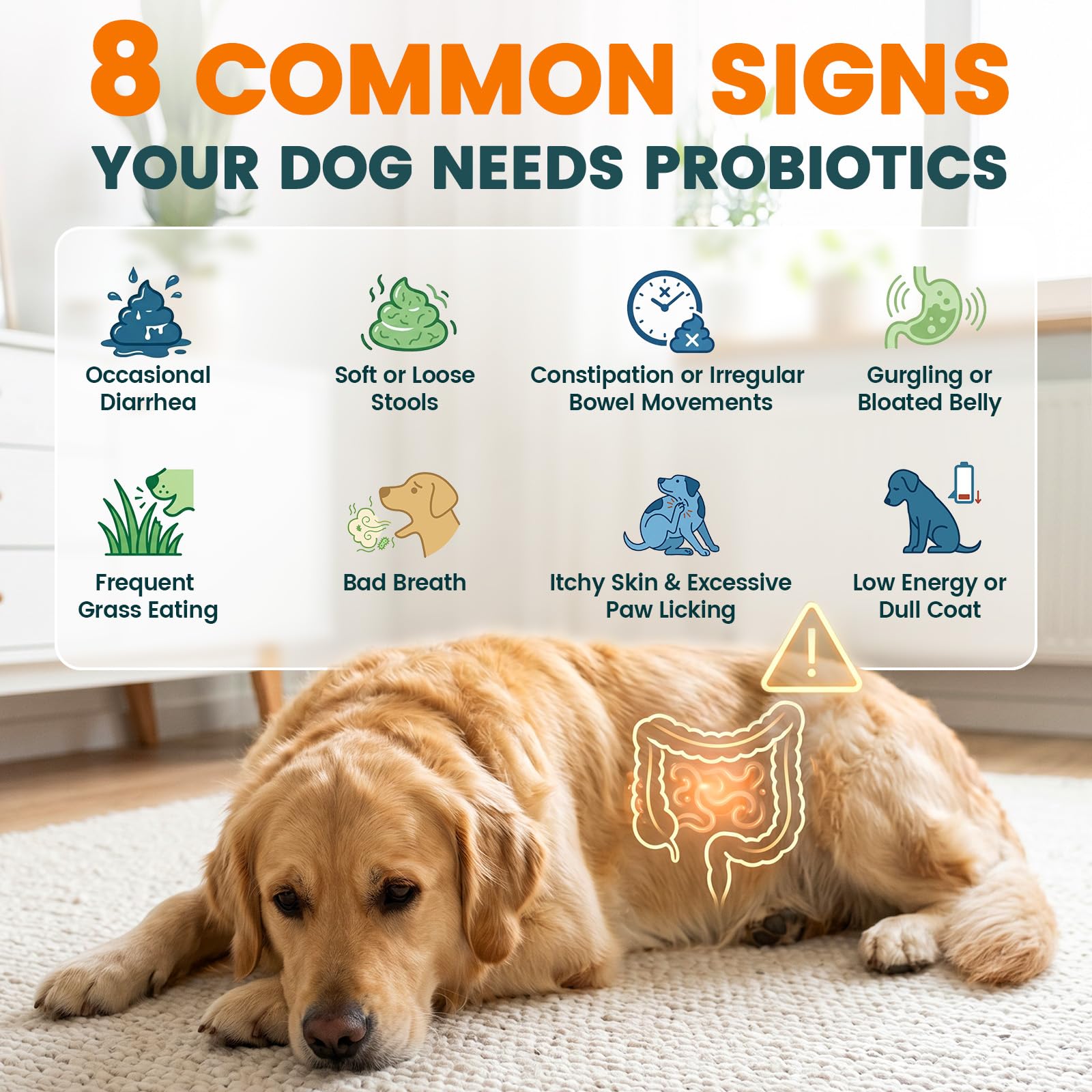Carmelie itchy skin relief visual with calm dog and healthy coat.