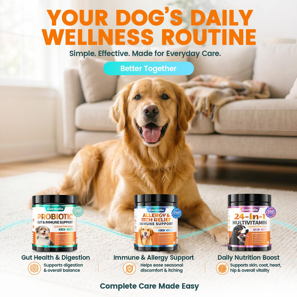 Carmelie chews suitable for puppies to seniors.