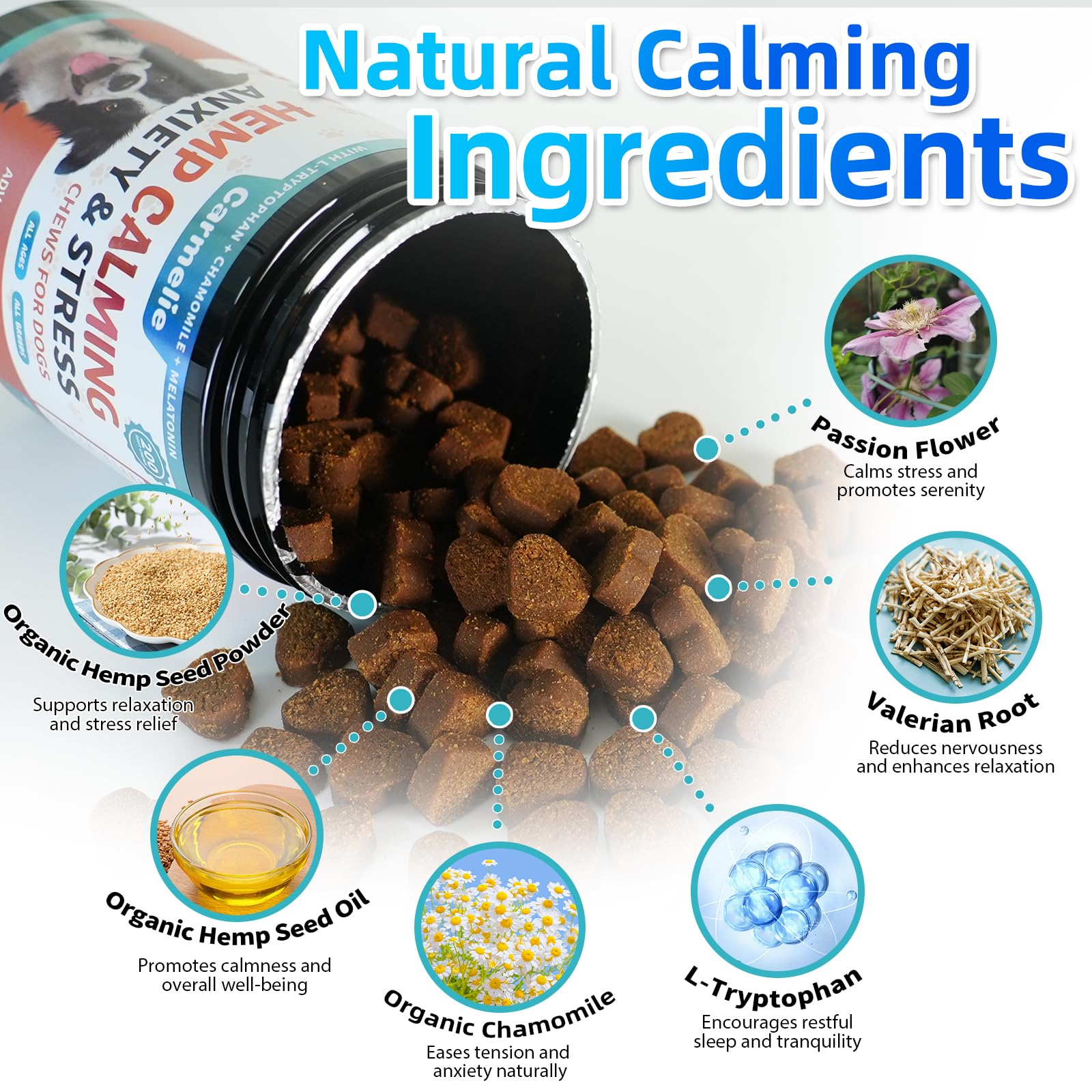 Carmelie soft chew texture close-up aids easy administration and calm.