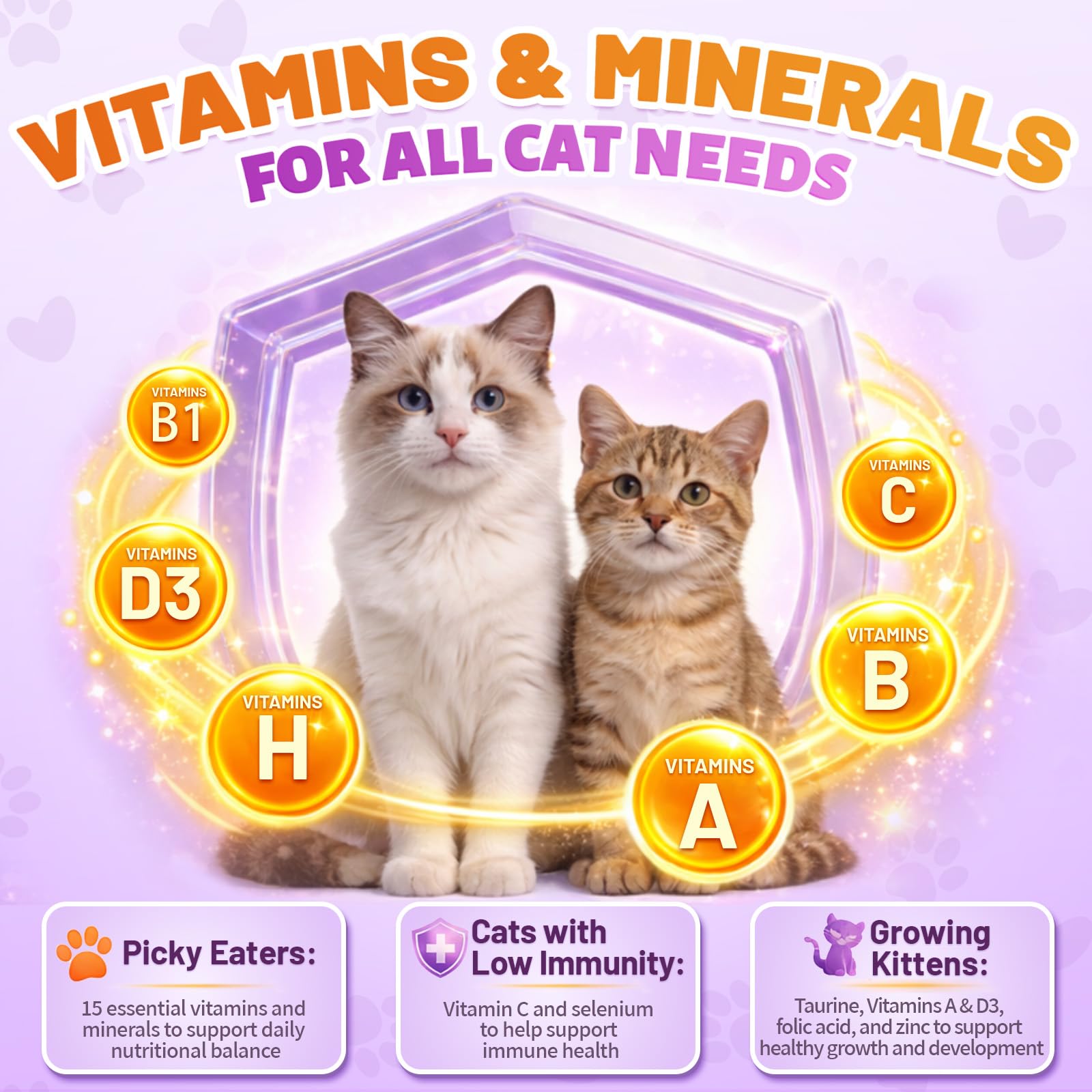 Carmelie Taurine for Cats energy support helps maintain daily activity and alertness.