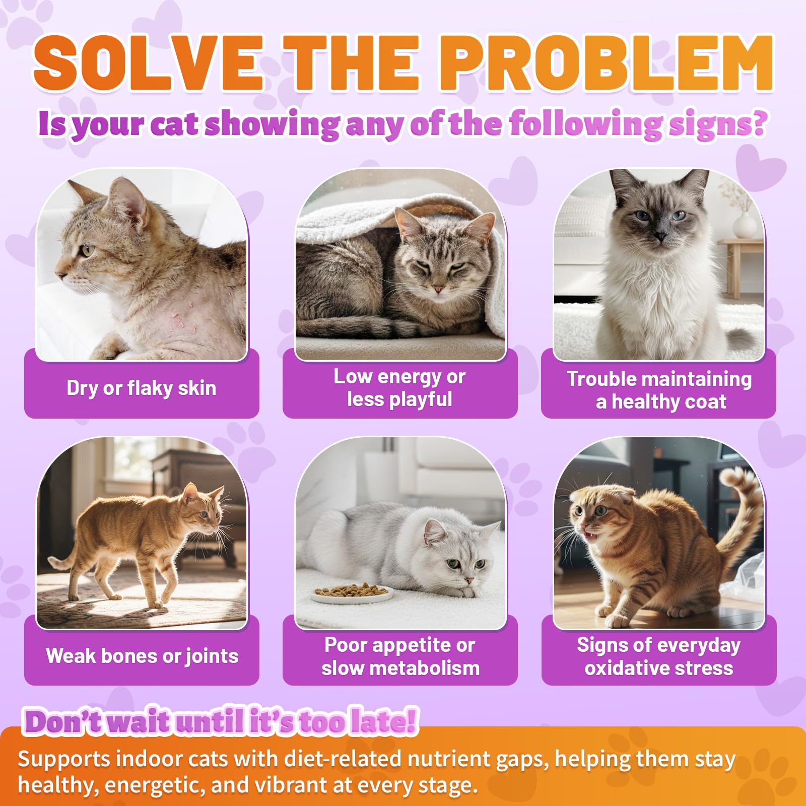 Carmelie Taurine for Cats vet-developed daily nutrition provides gentle, grain-free care for all ages.