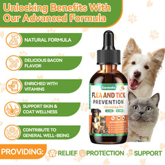Carmelie vitamin blend with B vitamins and ACV supports digestion and energy.