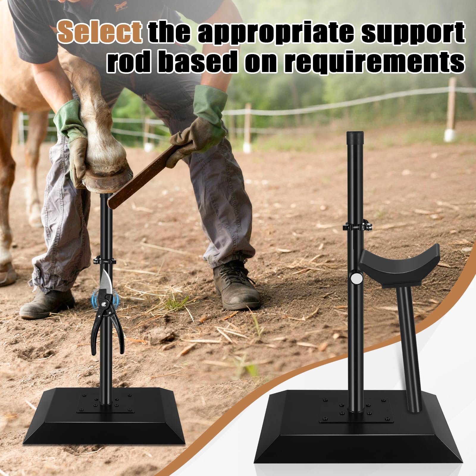 CAROD professional hoof stand crafted from durable metal.