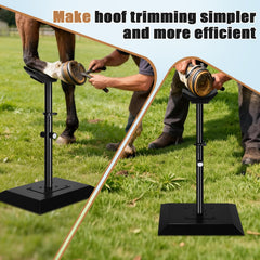 CAROD hoof stand features extra-large base for stability.