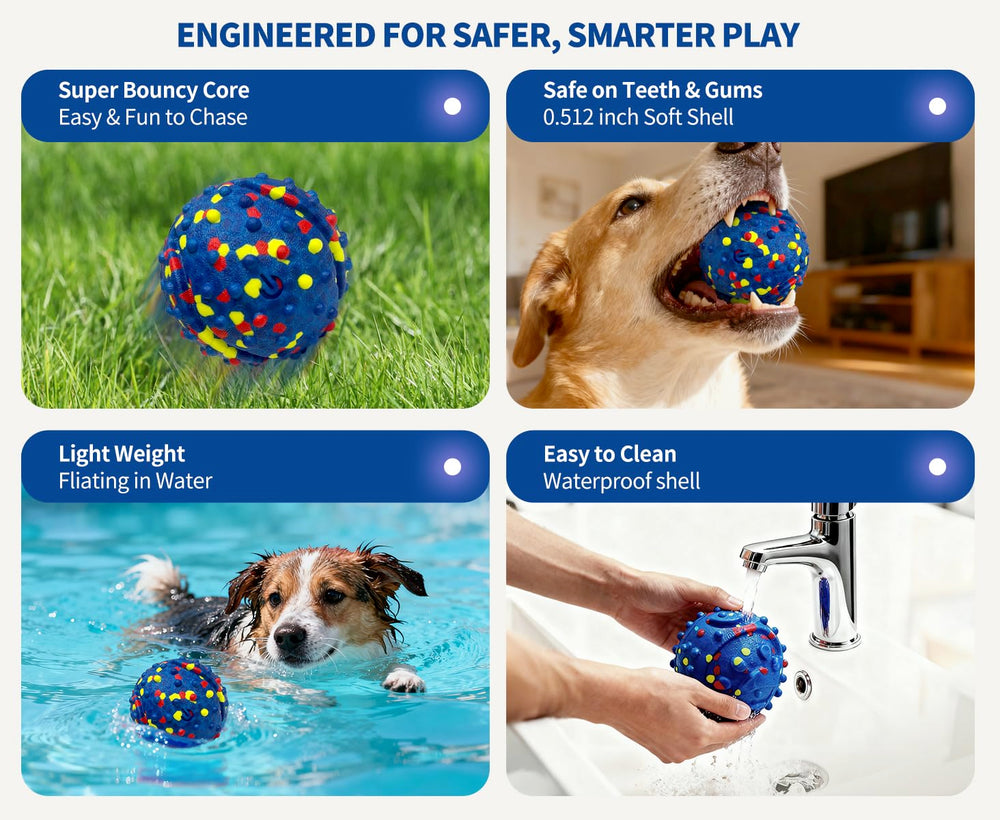 CAROZEN dog ball in indoor-outdoor play scenario