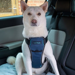 Carsafe cushioned chest panel close-up for comfortable rides.