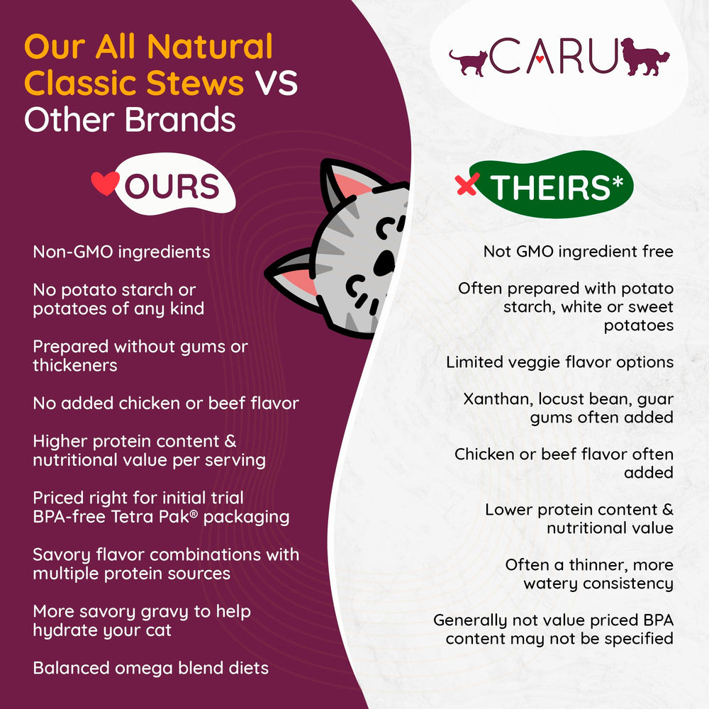 Caru Chicken Stew cat enjoying meal, a tasty wet food topper option