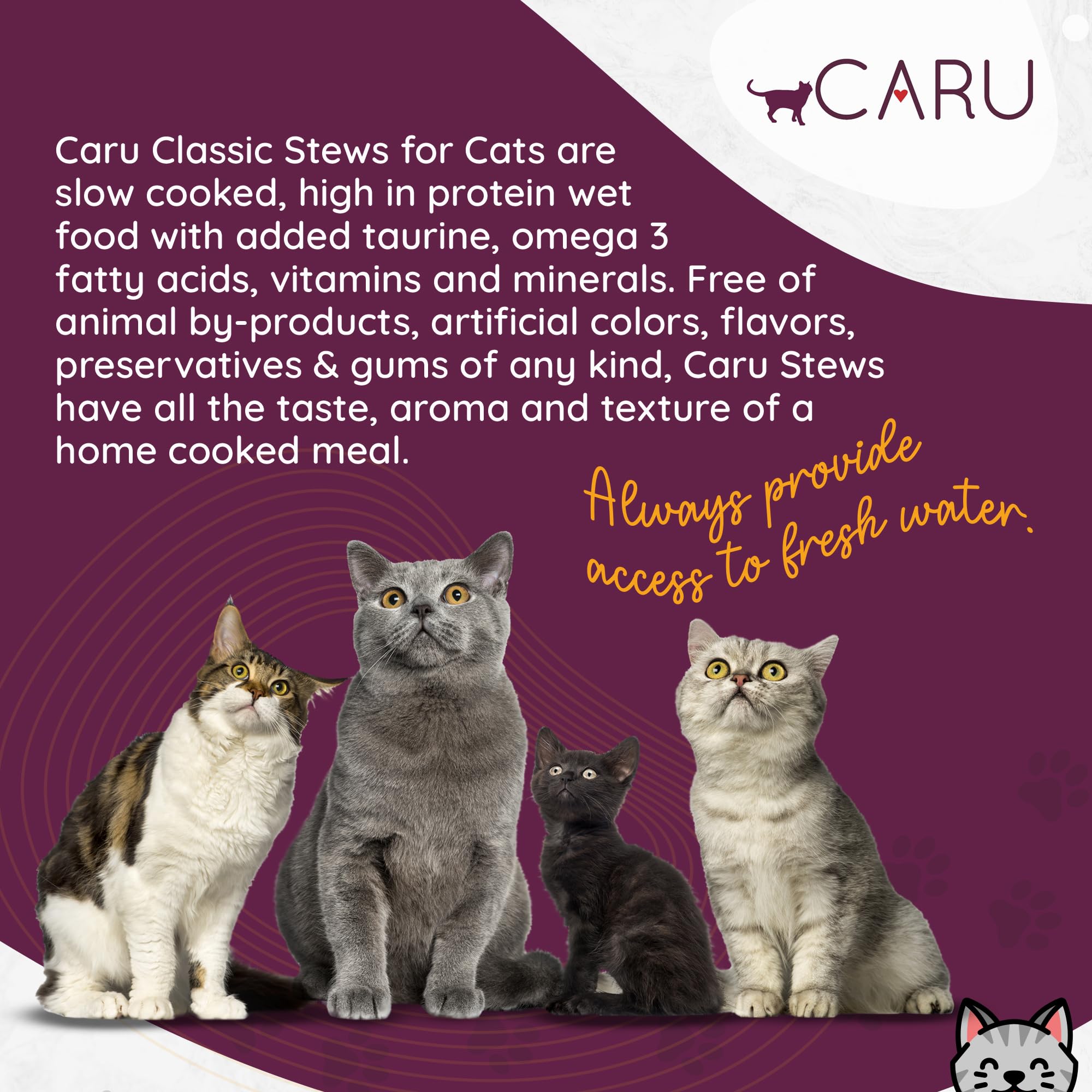Caru Classics Turkey Stew veggies and fruits image emphasizes fiber-rich ingredients.
