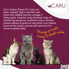Caru Classics Turkey Stew veggies and fruits image emphasizes fiber-rich ingredients.
