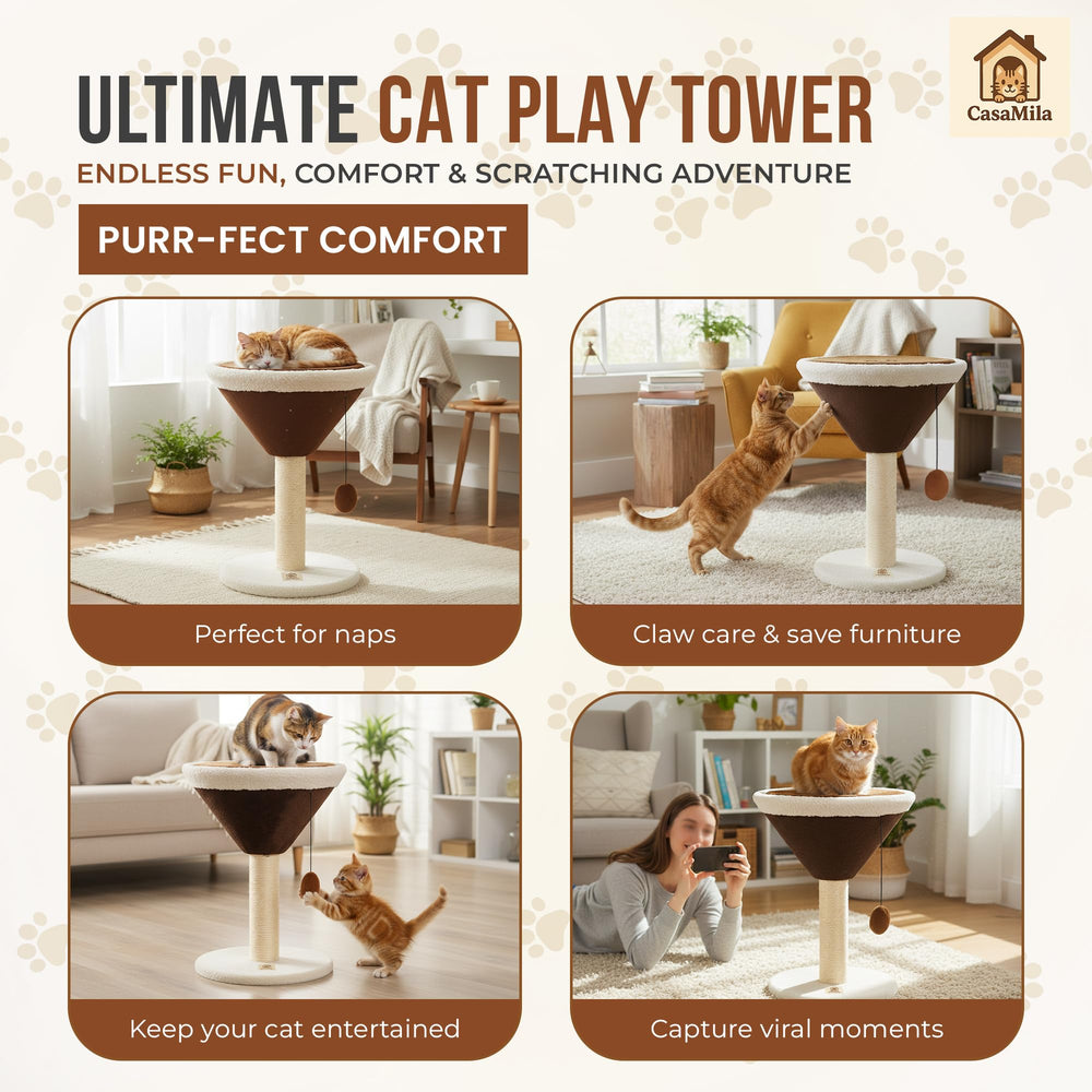 CasaMila Espresso Martini cat scratcher base detail shows stability and durability