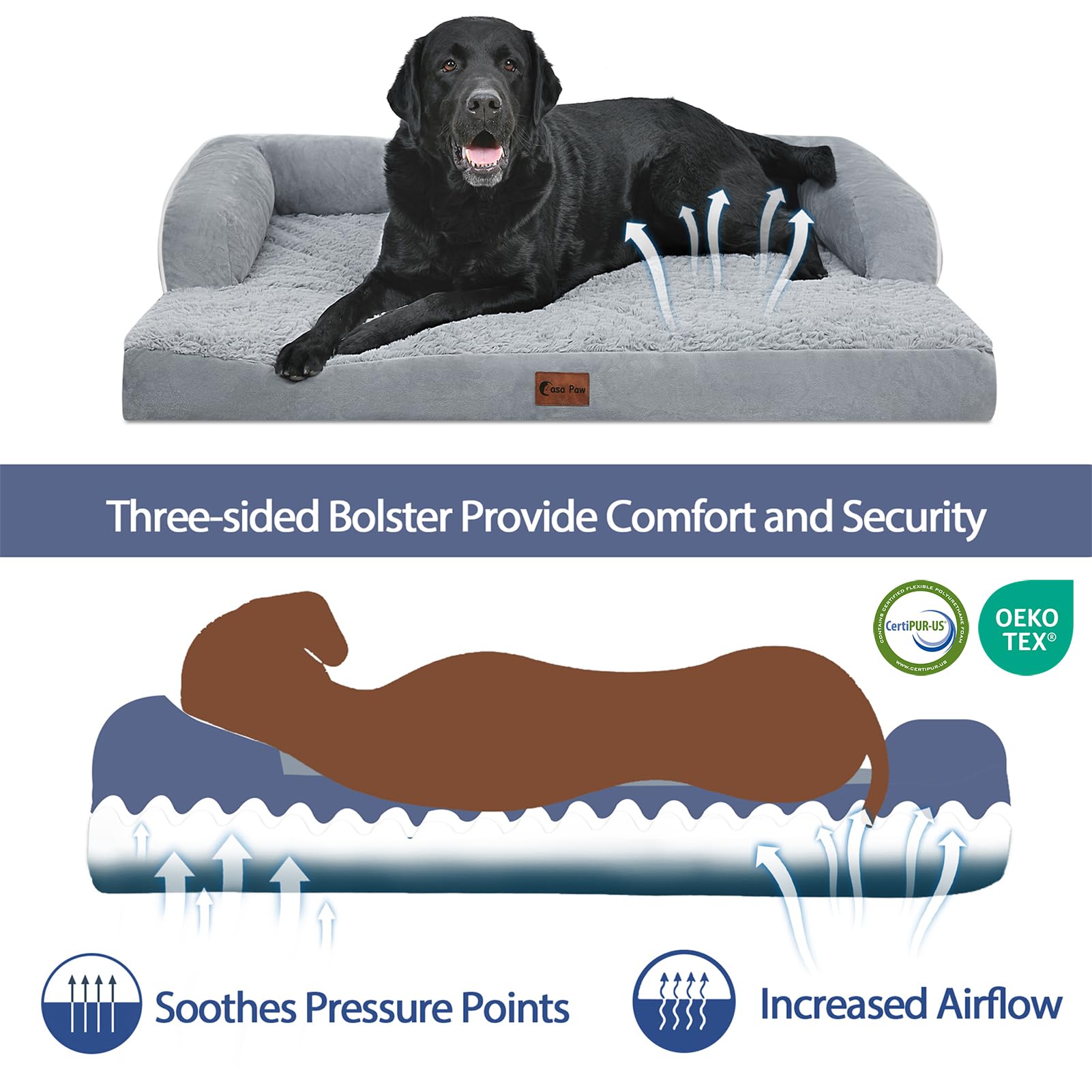 45x35 inch Casa Paw bed fits extra large dogs