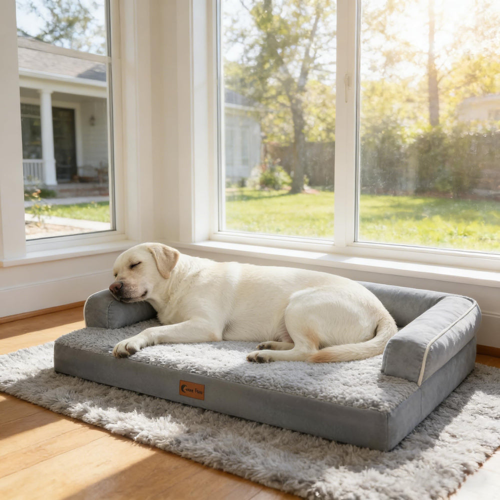 Gray Casa Paw orthopedic bed complements modern home