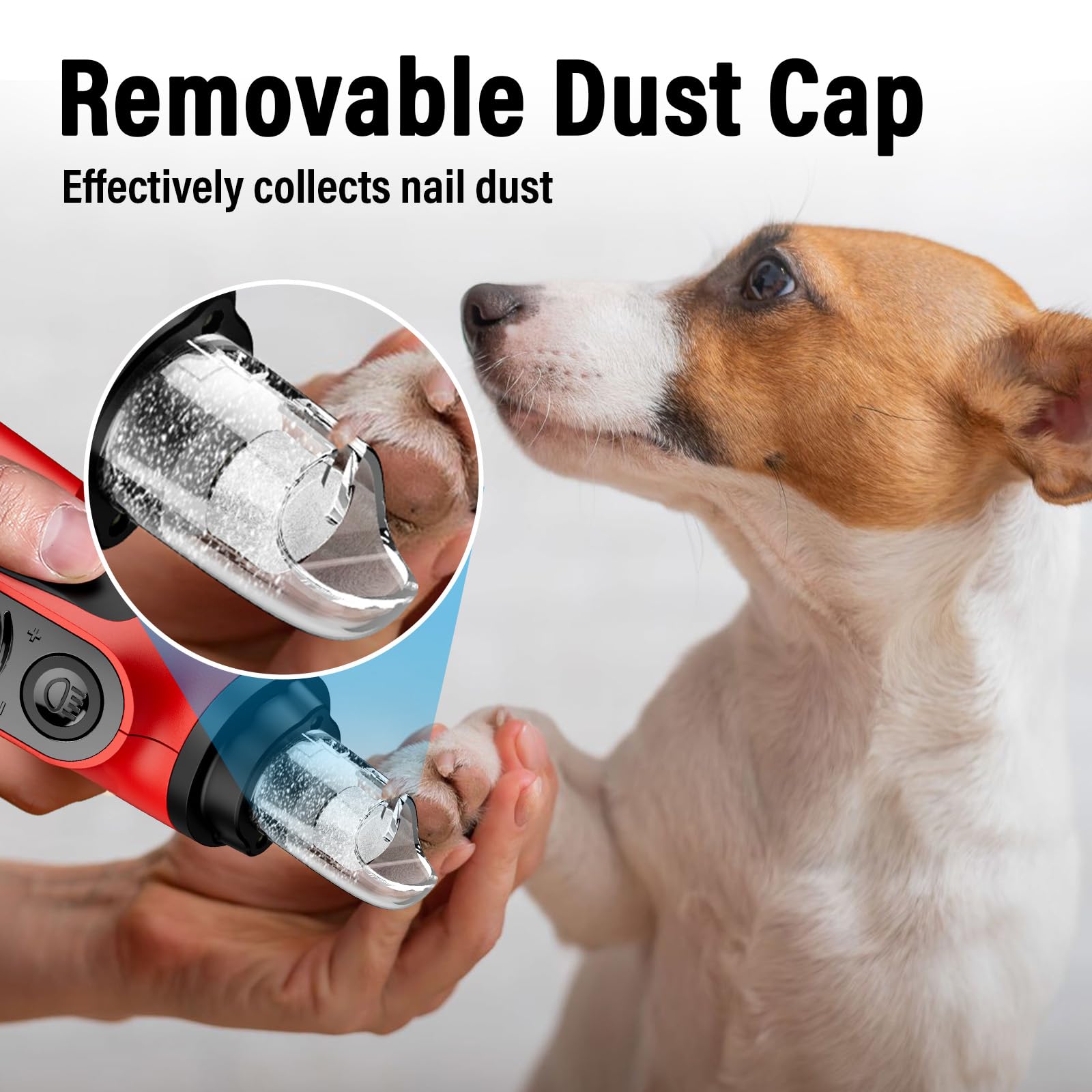 Dust-free cap keeps the grooming area clean during use.