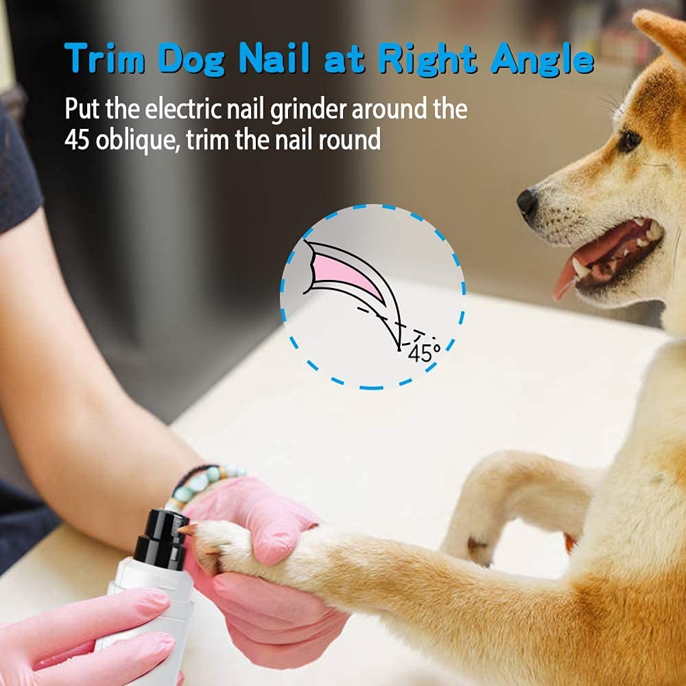 Casfuy pet nails being trimmed with the grinder in a calm home setting.