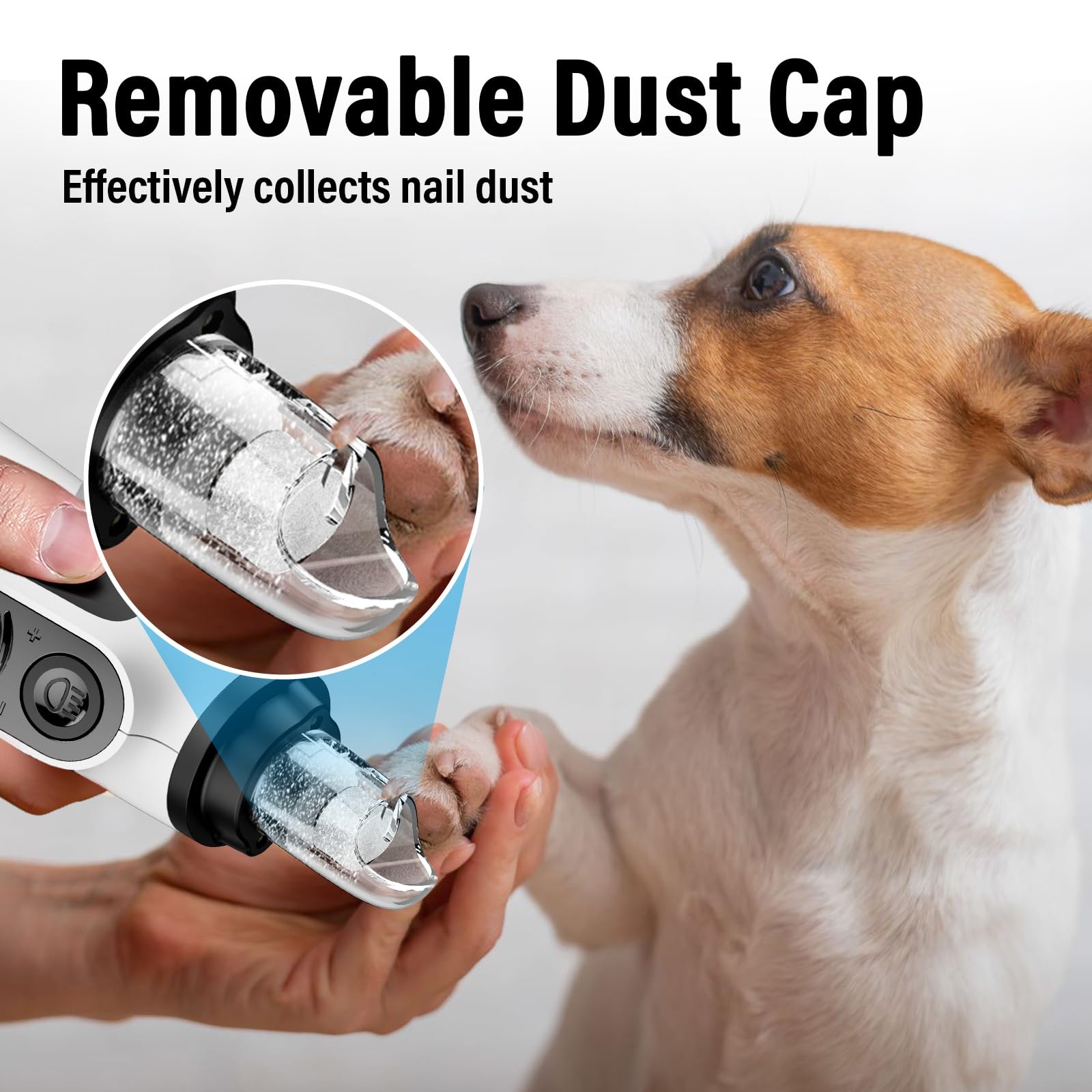 Casfuy quiet motor for calmer grooming sessions.