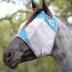 Cashel Crusader fly mask on Arabian horse, blue, breathable protection for long rides.