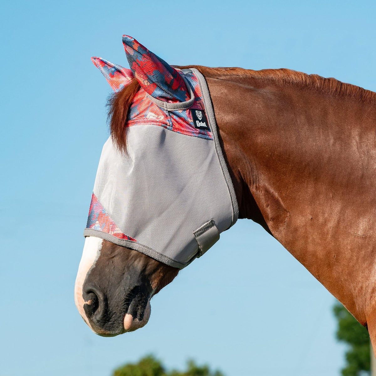 Cashel Crusader fly mask with ears offers clear vision and breathable protection.