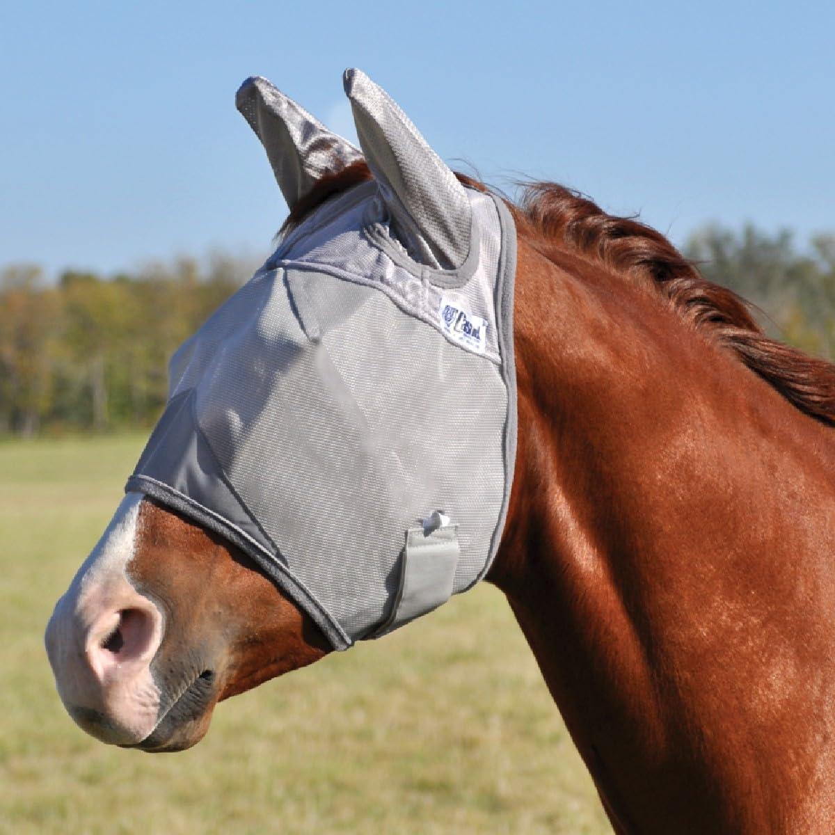 Cashel Crusader fly mask grey front view protects eyes from insects