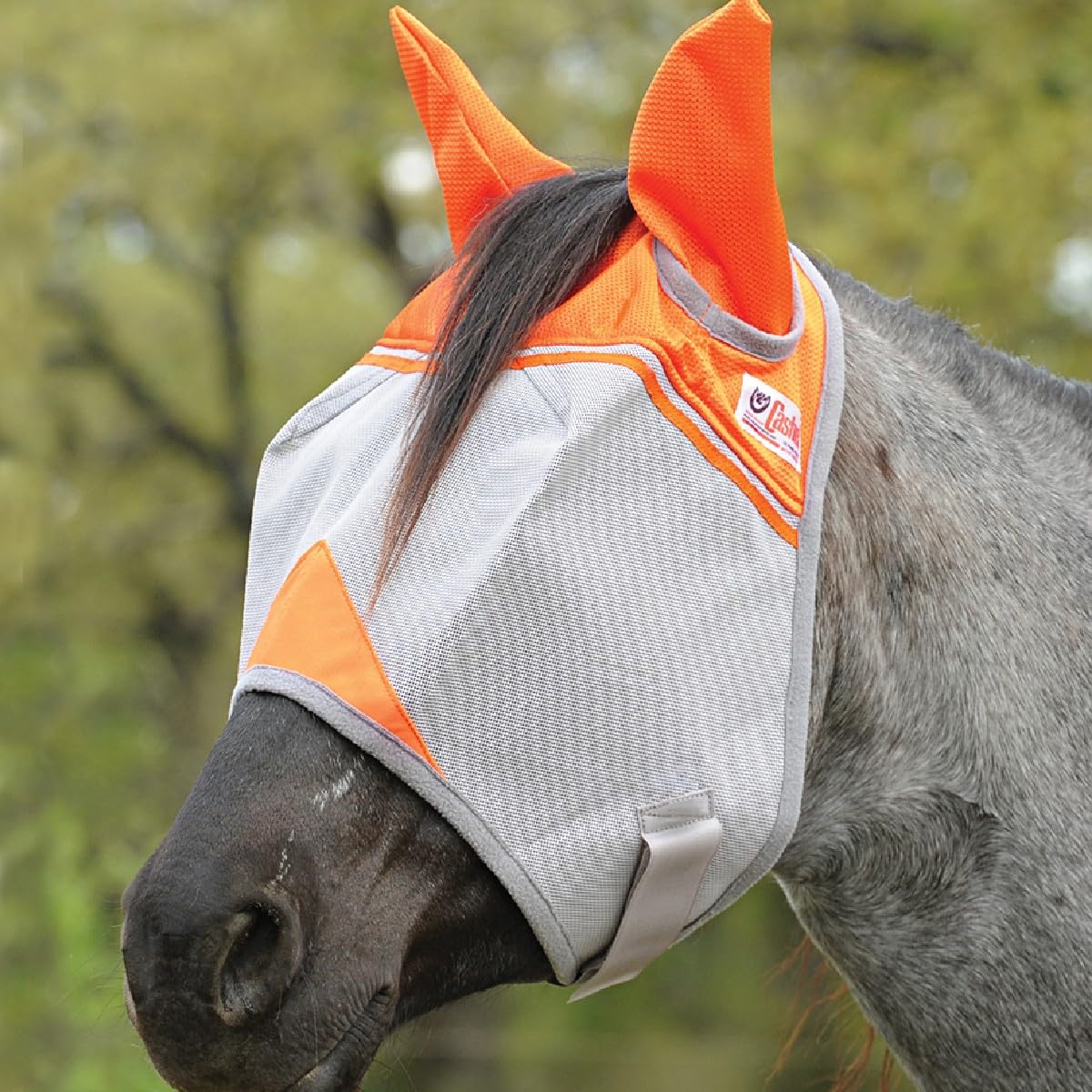 Cashel Crusader fly mask with ears on horse, standard fit for clear visibility and eye protection.
