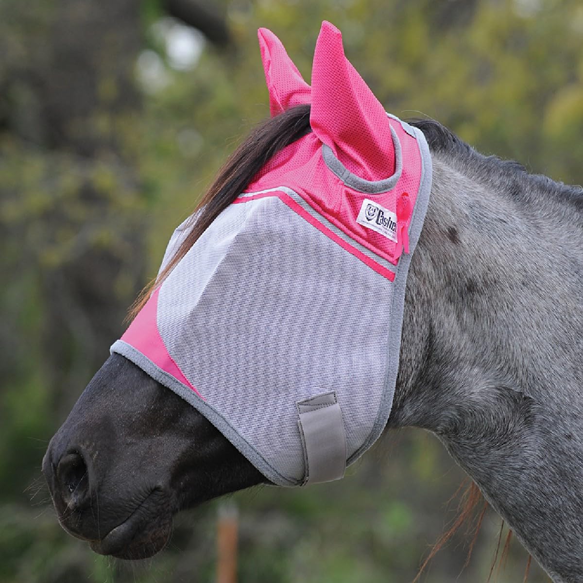 Cashel Crusader horse fly mask with ears in pink protects eyes from flies during rides.